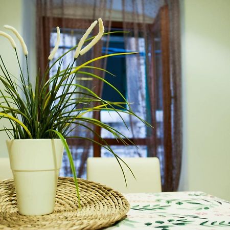Apartman Flower Šibenik Exteriér fotografie