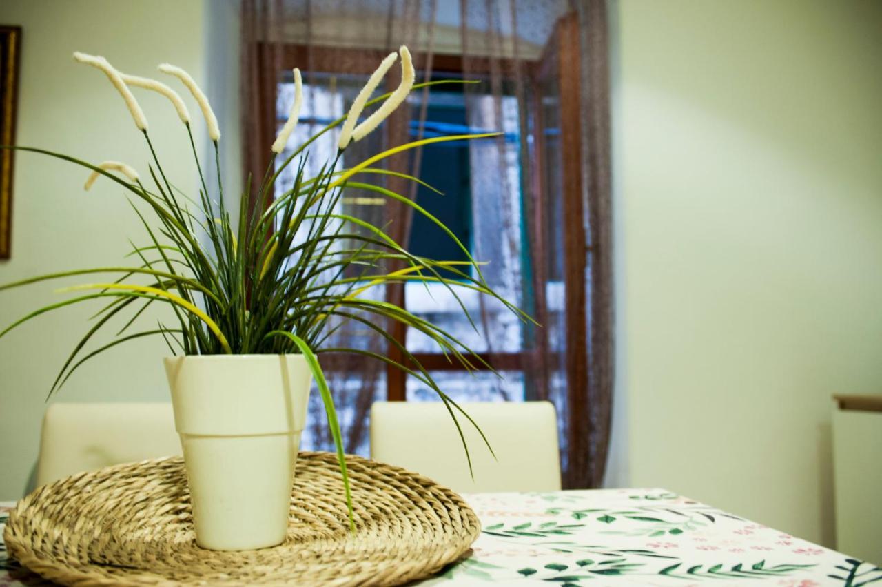 Apartman Flower Šibenik Exteriér fotografie
