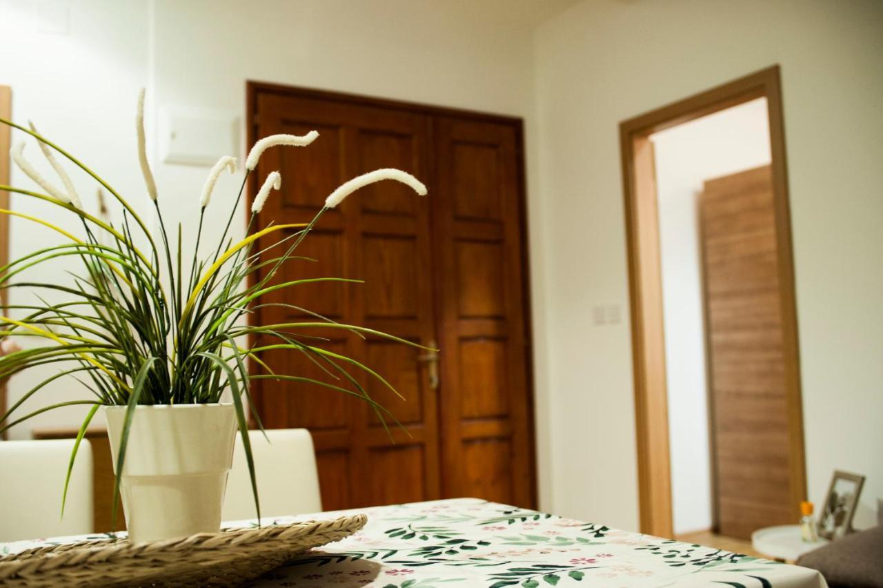 Apartman Flower Šibenik Exteriér fotografie